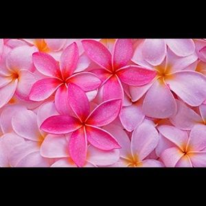 Meet your Posher, Claire